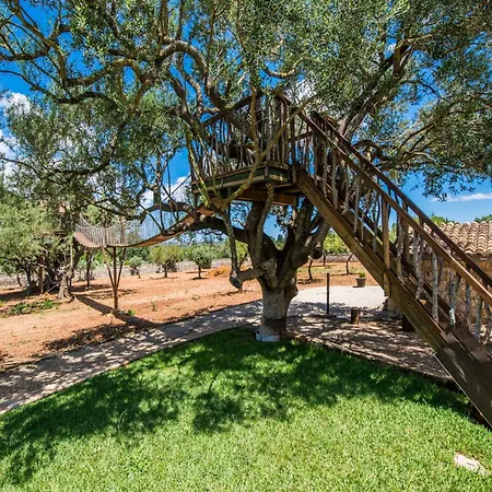 Feriehus Rural In Mallorca Ariany