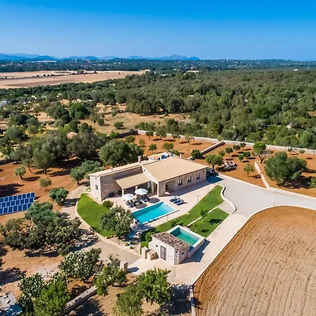Rural In Mallorca
