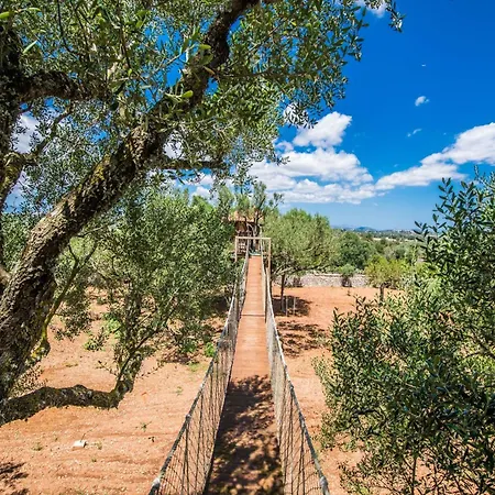 Rural In Mallorca *